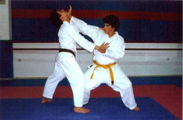 Slideshow Image 7